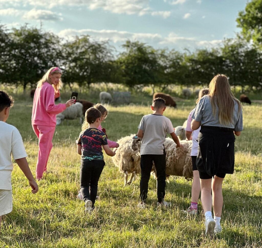 Families enjoying time on the farm